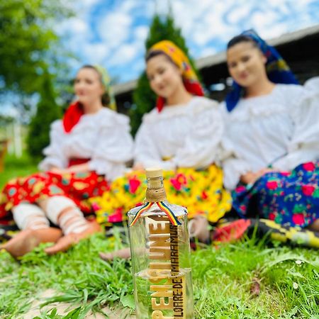 Floare De Maramures 1 วาดูอิเซ ภายนอก รูปภาพ