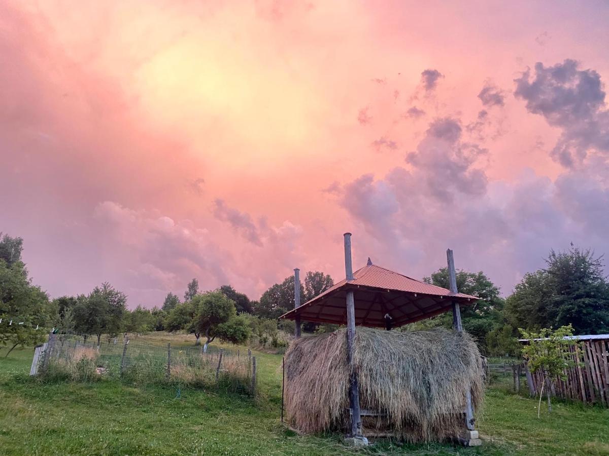 Floare De Maramures 1 วาดูอิเซ ภายนอก รูปภาพ