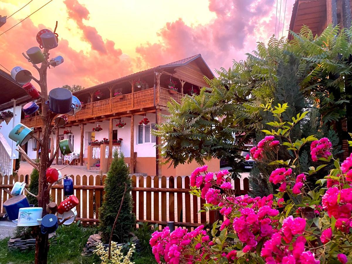 Floare De Maramures 1 วาดูอิเซ ภายนอก รูปภาพ
