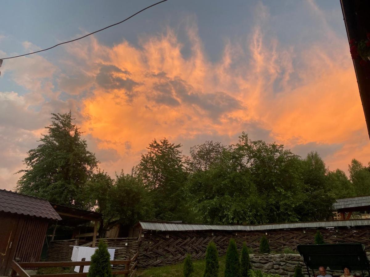 Floare De Maramures 1 วาดูอิเซ ภายนอก รูปภาพ