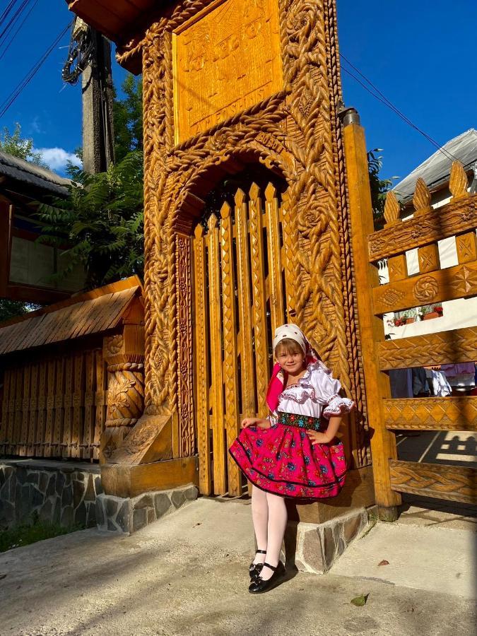 Floare De Maramures 1 วาดูอิเซ ภายนอก รูปภาพ
