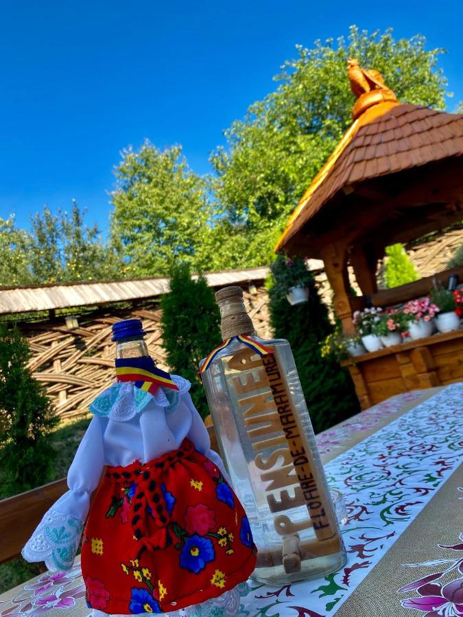 Floare De Maramures 1 วาดูอิเซ ภายนอก รูปภาพ