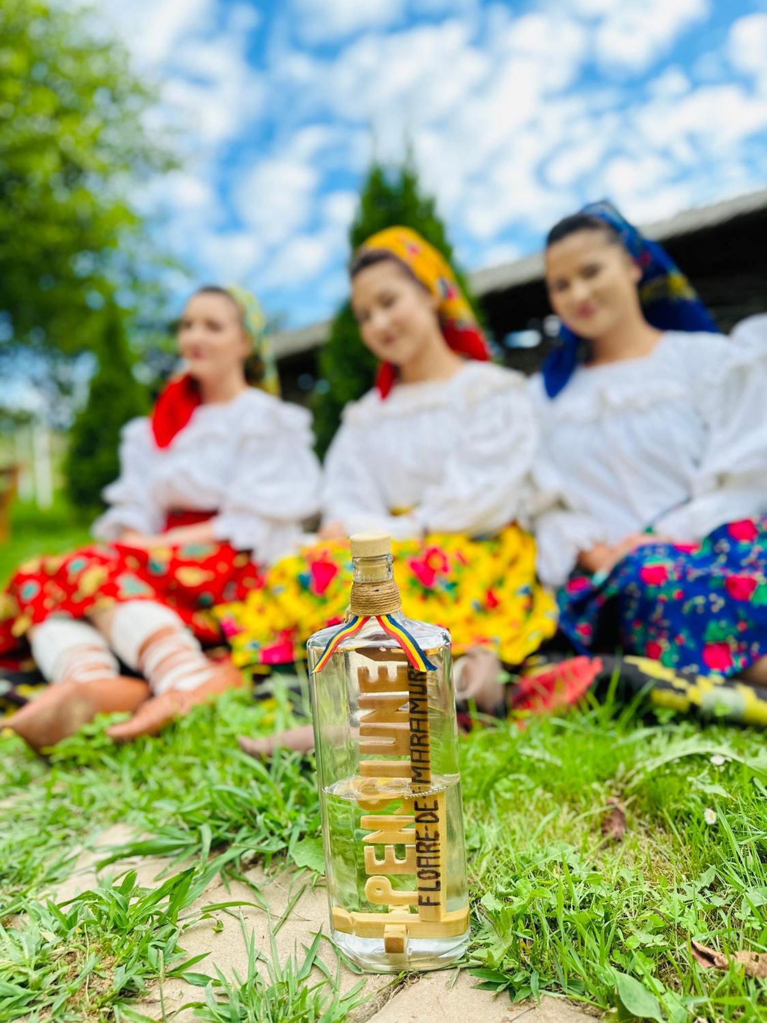 Floare De Maramures 1 วาดูอิเซ ภายนอก รูปภาพ